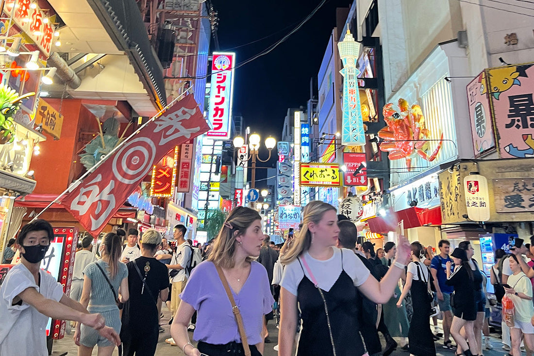 What Makes Japan an Accessible Destination?